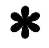 Star Icon